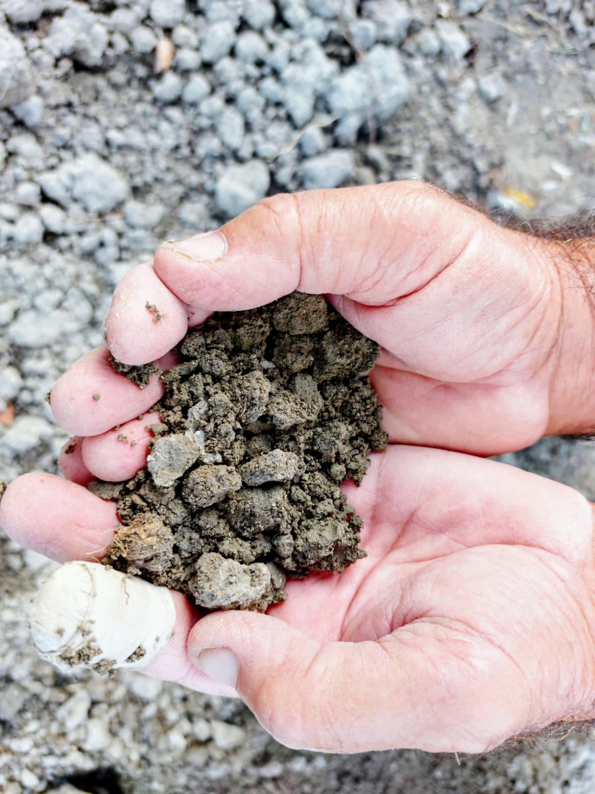 La terra di contrada Marasà tra le mani di Salvatore